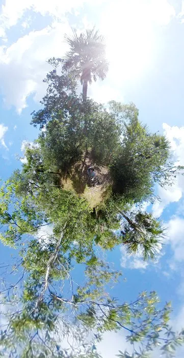 Ivy Campground Picture 2