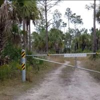 Gator Head Campground ico