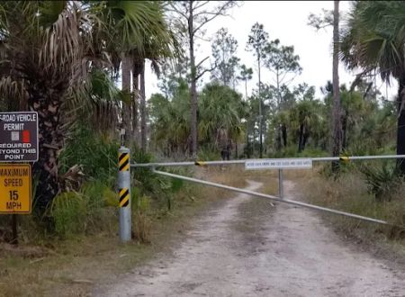 Gator Head Campground