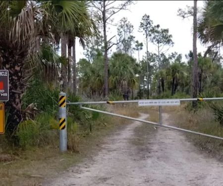 Gator Head Campground