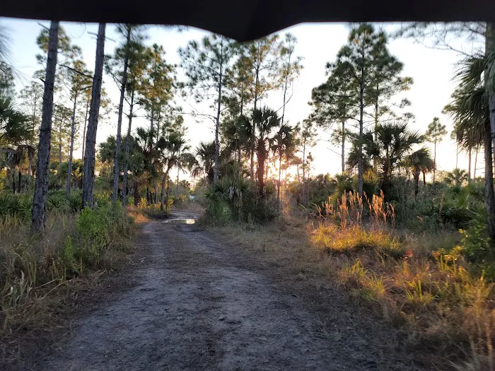 Bear Island Campground Picture 5
