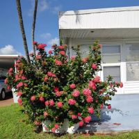Golf View Estates Mobile Home ico