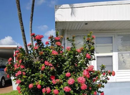 Golf View Estates Mobile Home