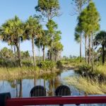 Bear Island Big Cypress national preserve