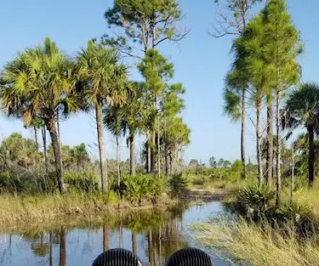 Bear Island Big Cypress national preserve