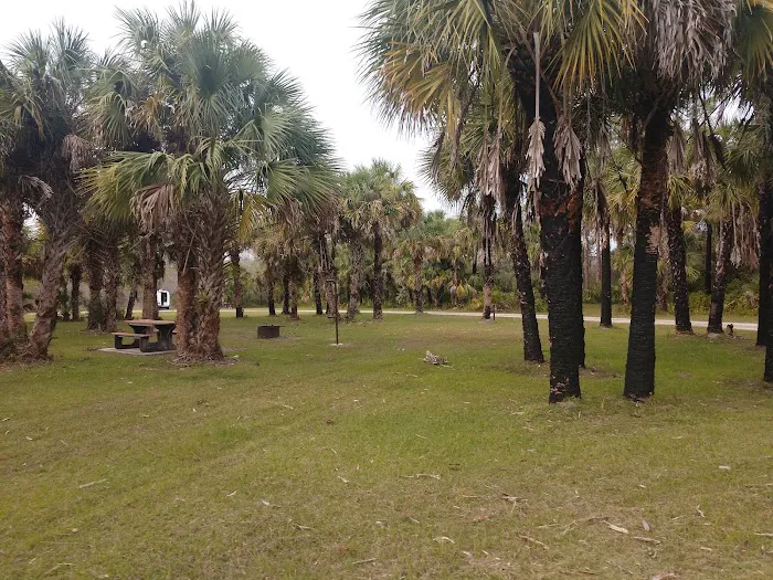 Bear Island Big Cypress national preserve Picture 10