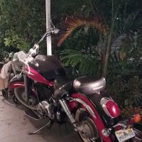 Coral Cay Plantation Homeowner ico
