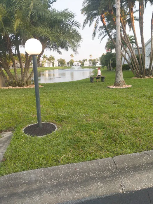 Camping juno beach Picture 9