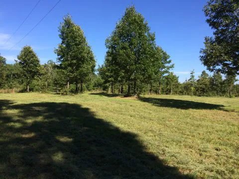 Eclipse-it-here campground Picture 2
