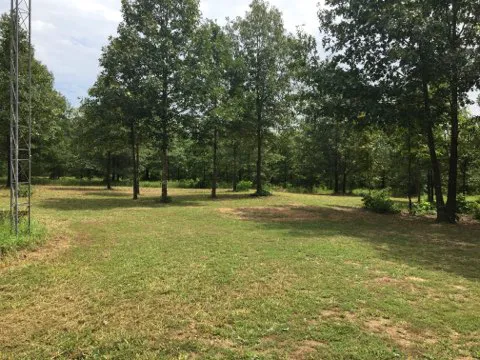 Eclipse-it-here campground Picture 6