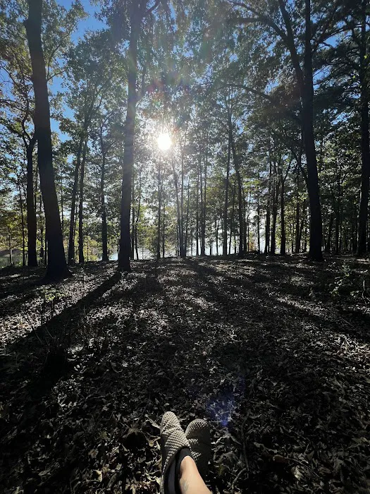 Devils Fork Recreation Area Picture 10