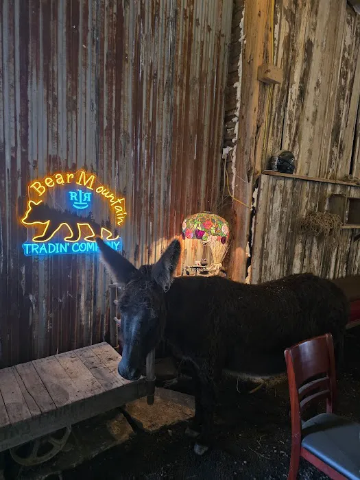 Rockin' T Ranch Picture 6