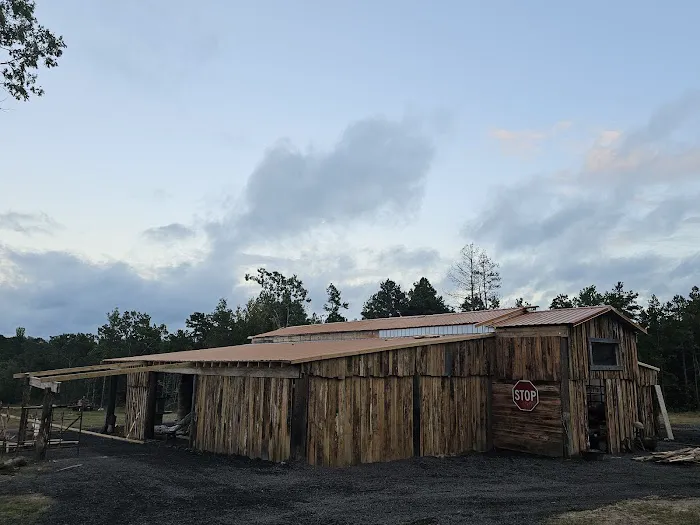 Rockin' T Ranch Picture 2