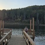 Williams Rock