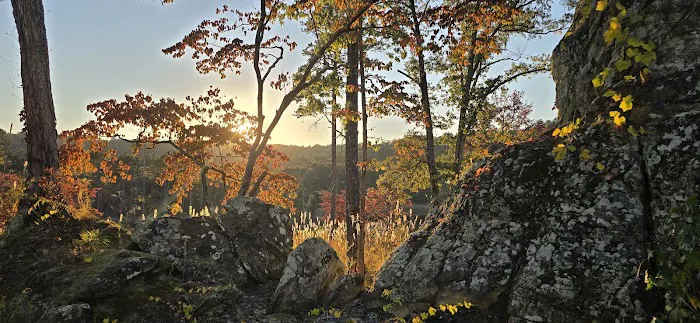 Williams Rock Picture 10