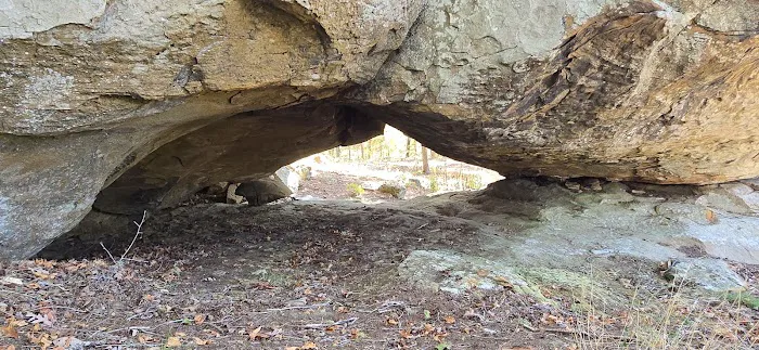 Williams Rock Picture 8