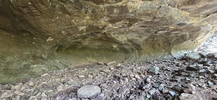 Williams Rock Picture 6