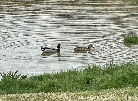 Newark RV Park, Texas