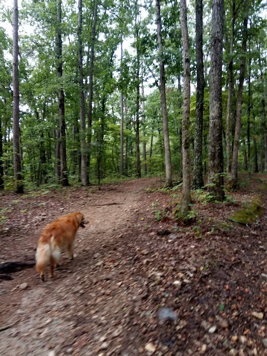 Cobb Ridge Campground Picture 5