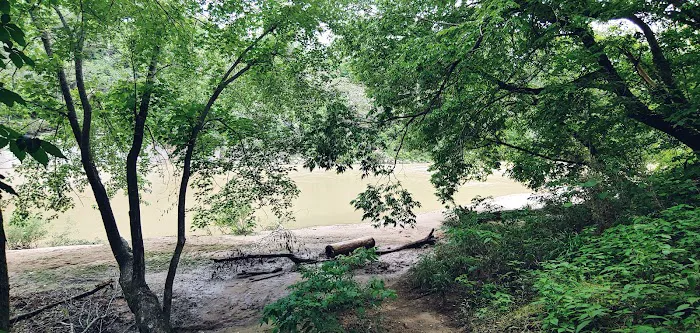 Shine Eye Campground Picture 10