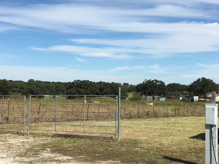 Texas Star RV Park of Azle Picture 5