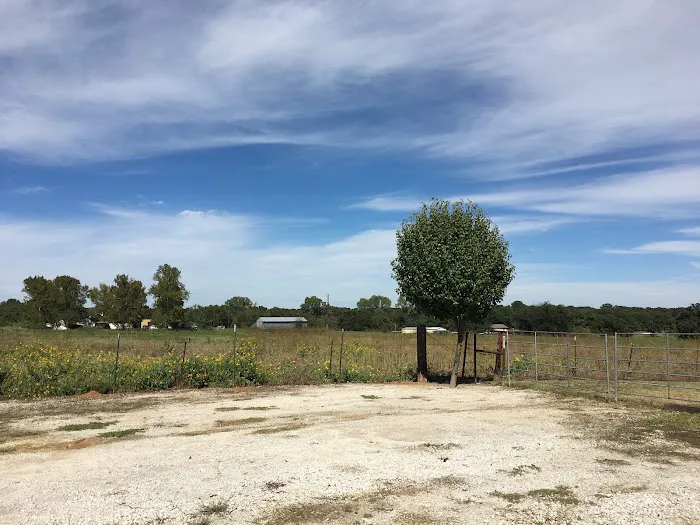 Texas Star RV Park of Azle Picture 2