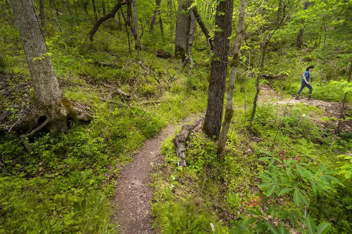 Tyler Bend Campground Picture 7