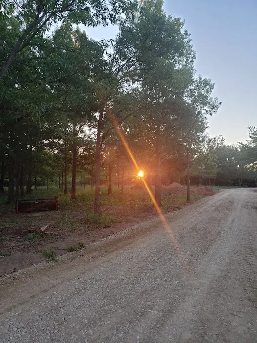 The Pines RV Community Picture 3