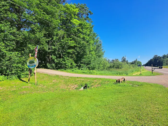 Spring Oaks Campground Picture 5