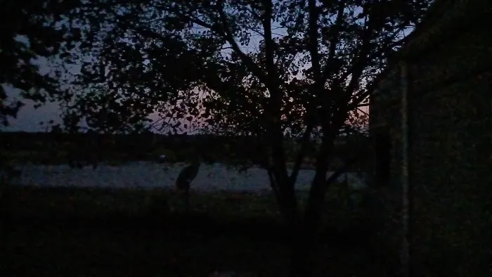 Paradise RV Park ! ! ! Paradise TX Picture 2