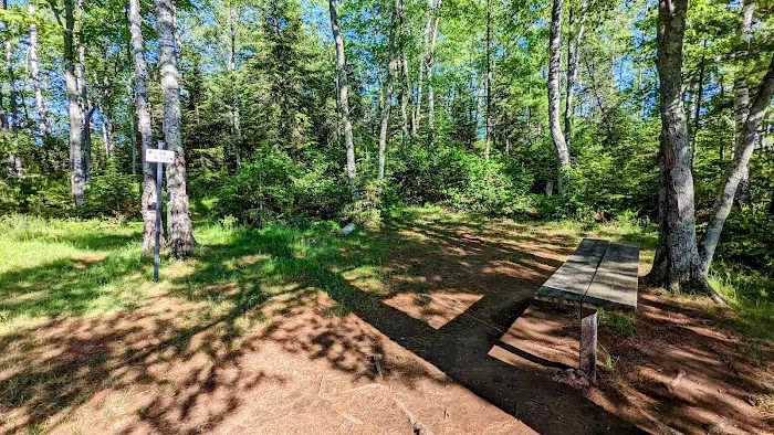 Island Lake Campsite #4 Picture 4
