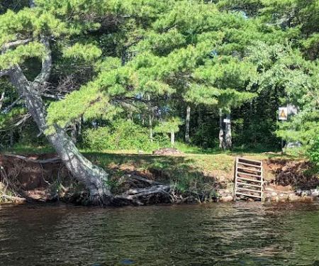 Island Lake Campsite #4