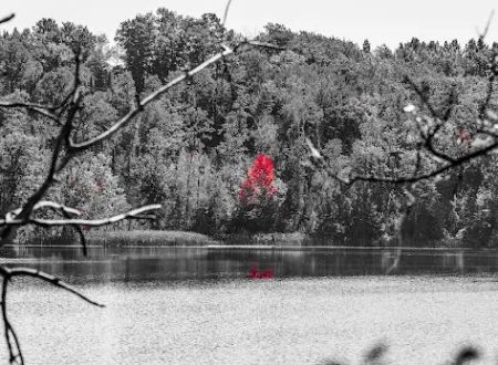 Barnum City Park Campground