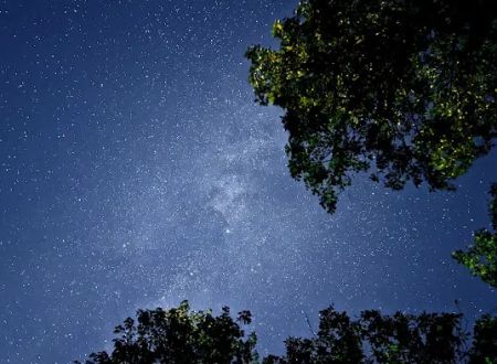 Moose Lake State Park Campground