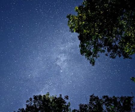 Moose Lake State Park Campground