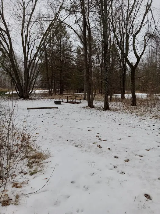 Moose Lake State Park Campground Picture 8