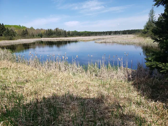 Moose Lake State Park Campground Picture 7