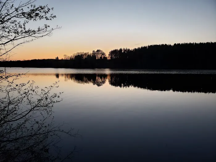 Moose Lake State Park Campground Picture 6