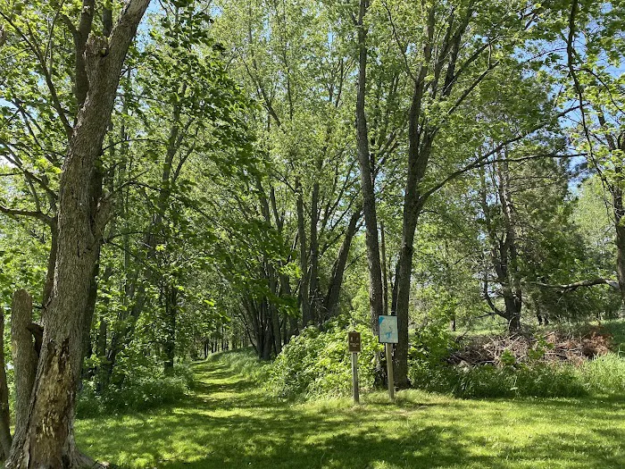 Group Campground Picture 8