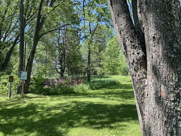 Group Campground Picture 7
