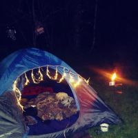 Red Fox Campground & RV Park ico
