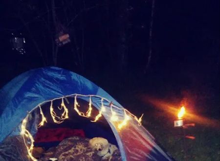 Red Fox Campground & RV Park