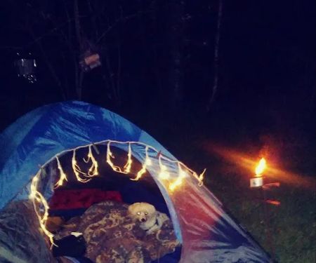 Red Fox Campground & RV Park