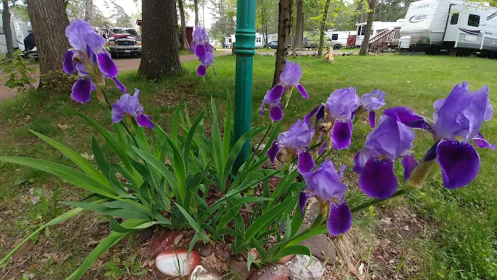Edelweiss Campground Picture 2