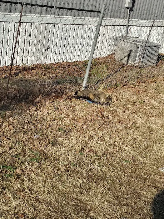 Texas Garden Mobile Home Community Picture 5