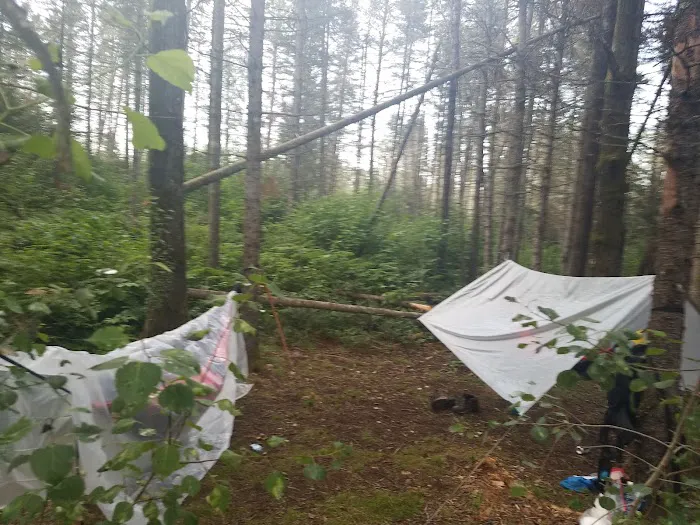 Sucker River Camp Picture 10