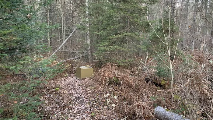 Sucker River Camp Picture 4