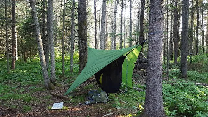 Sucker River Camp Picture 2