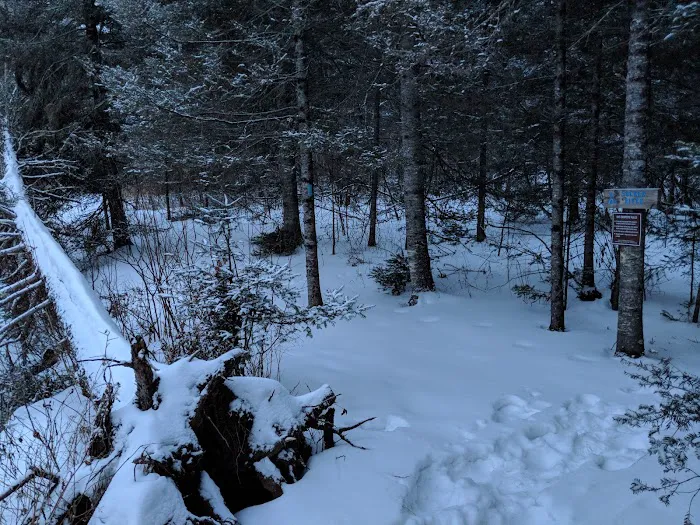 Sucker River Camp Picture 1