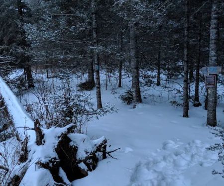 Sucker River Camp
